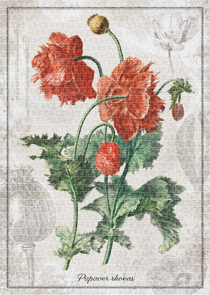 Interdruk - 1000 Botanic Poppy (1000 detalių)