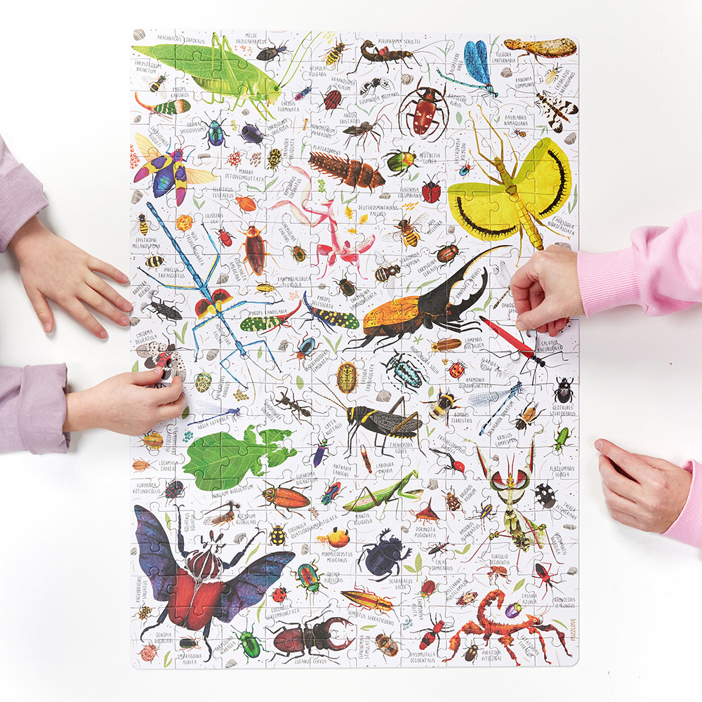 Puzzlove Insects 7+