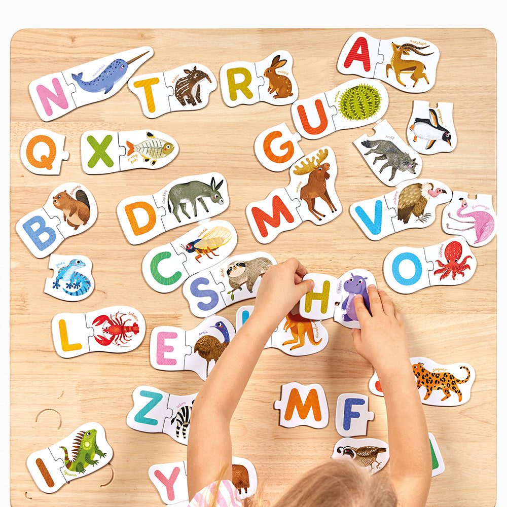 Puzzle Pairs Letters