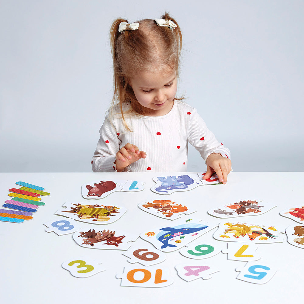 Puzzle Pairs Numbers