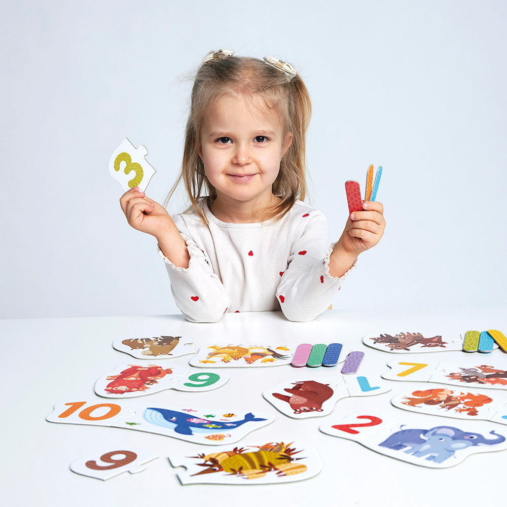 Puzzle Pairs Numbers