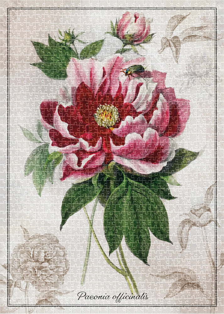 Interdruk -  Dėlionė Botanic Peony (1000 detalių)