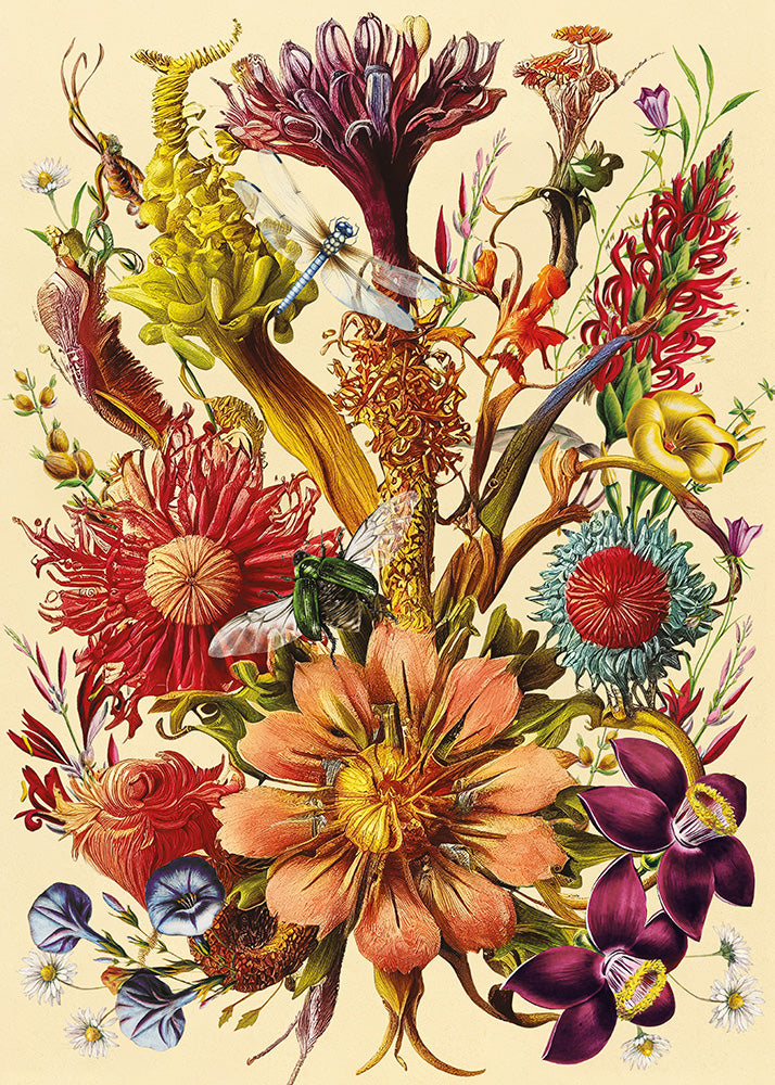 Interdruk -  Dėlionė Flowers 5 (1000 detalių)