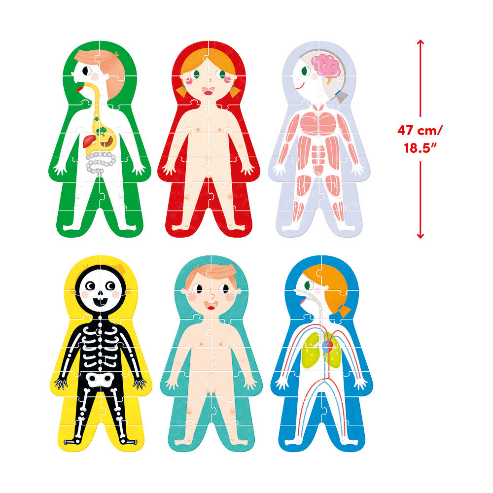 Suuuper Size Puzzles My Body