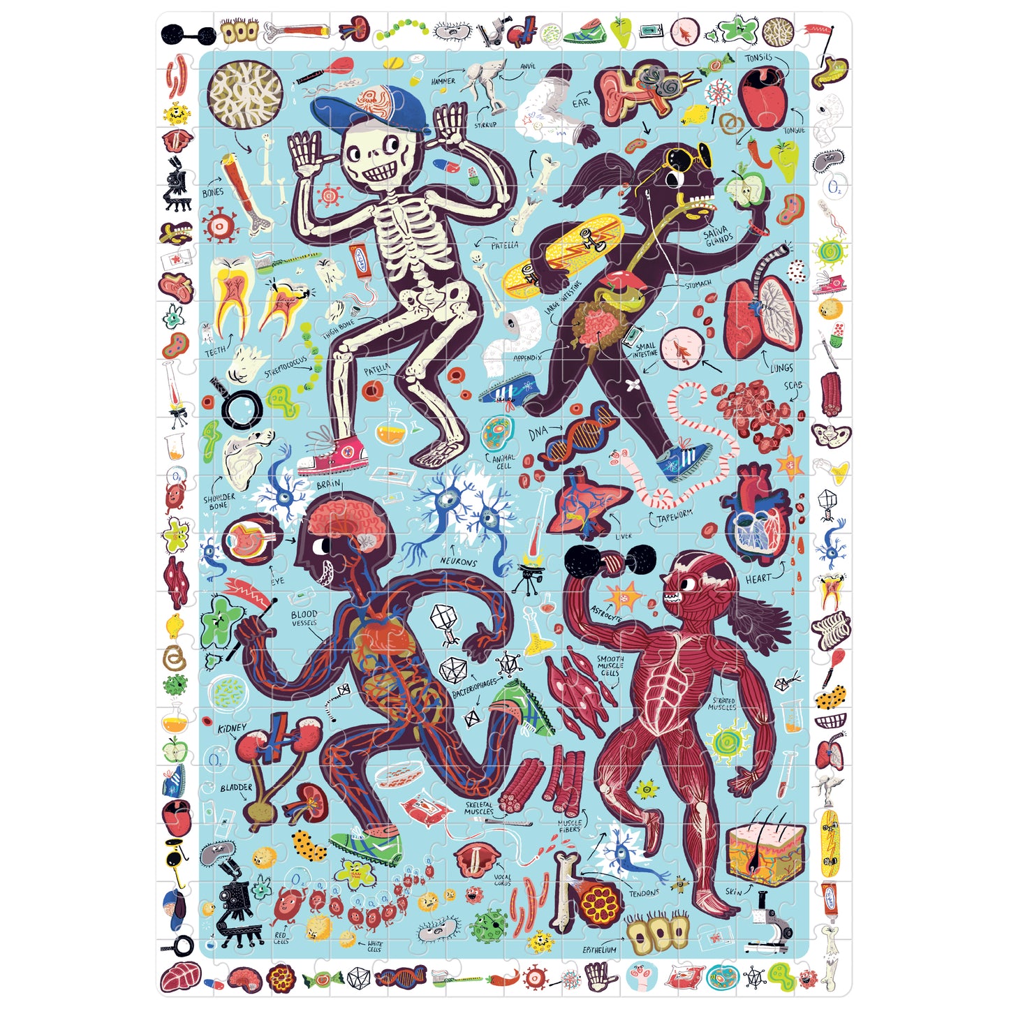 Observation Puzzle My Body