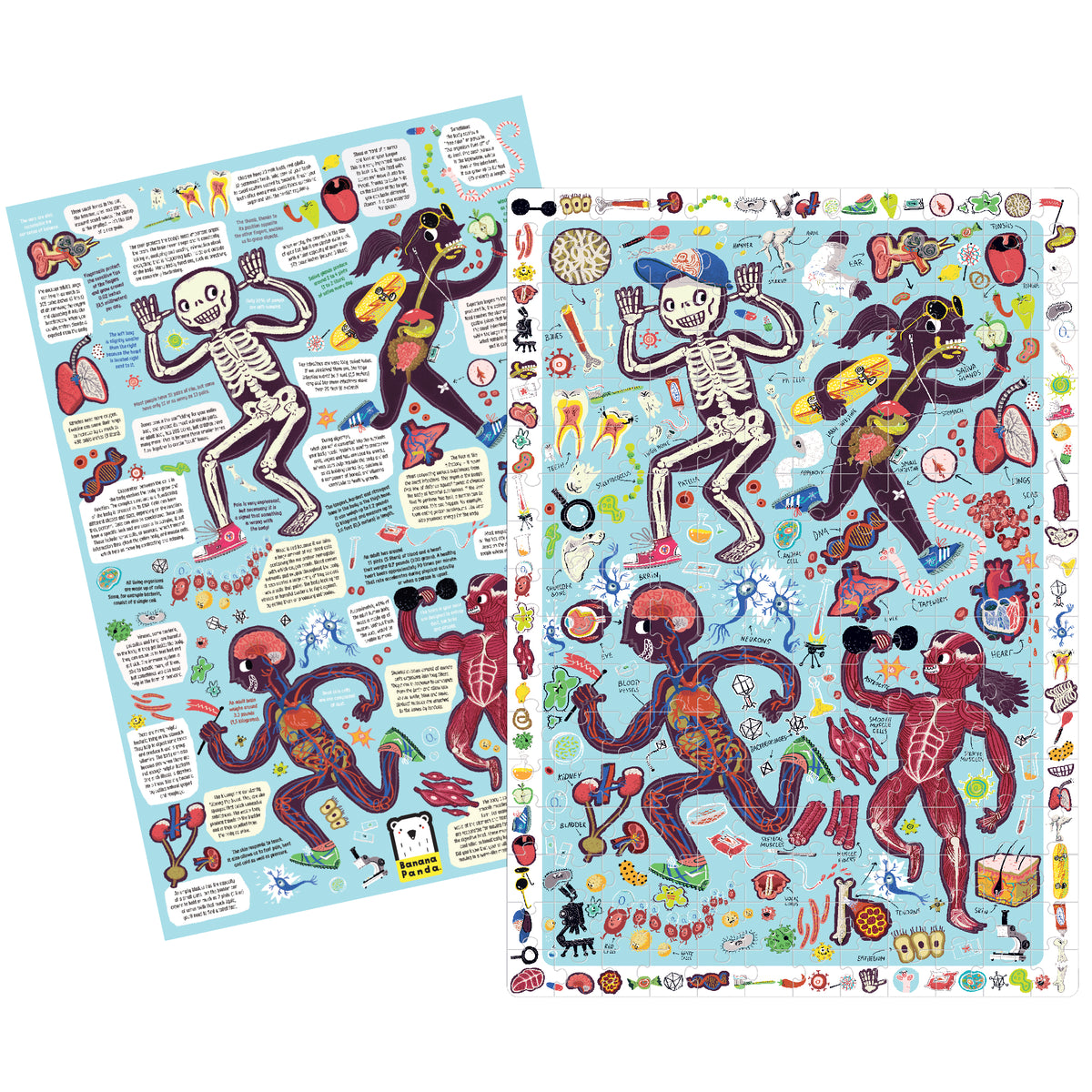 Puzzlevison Body Observation Puzzle My Body – Bananapanda.lt