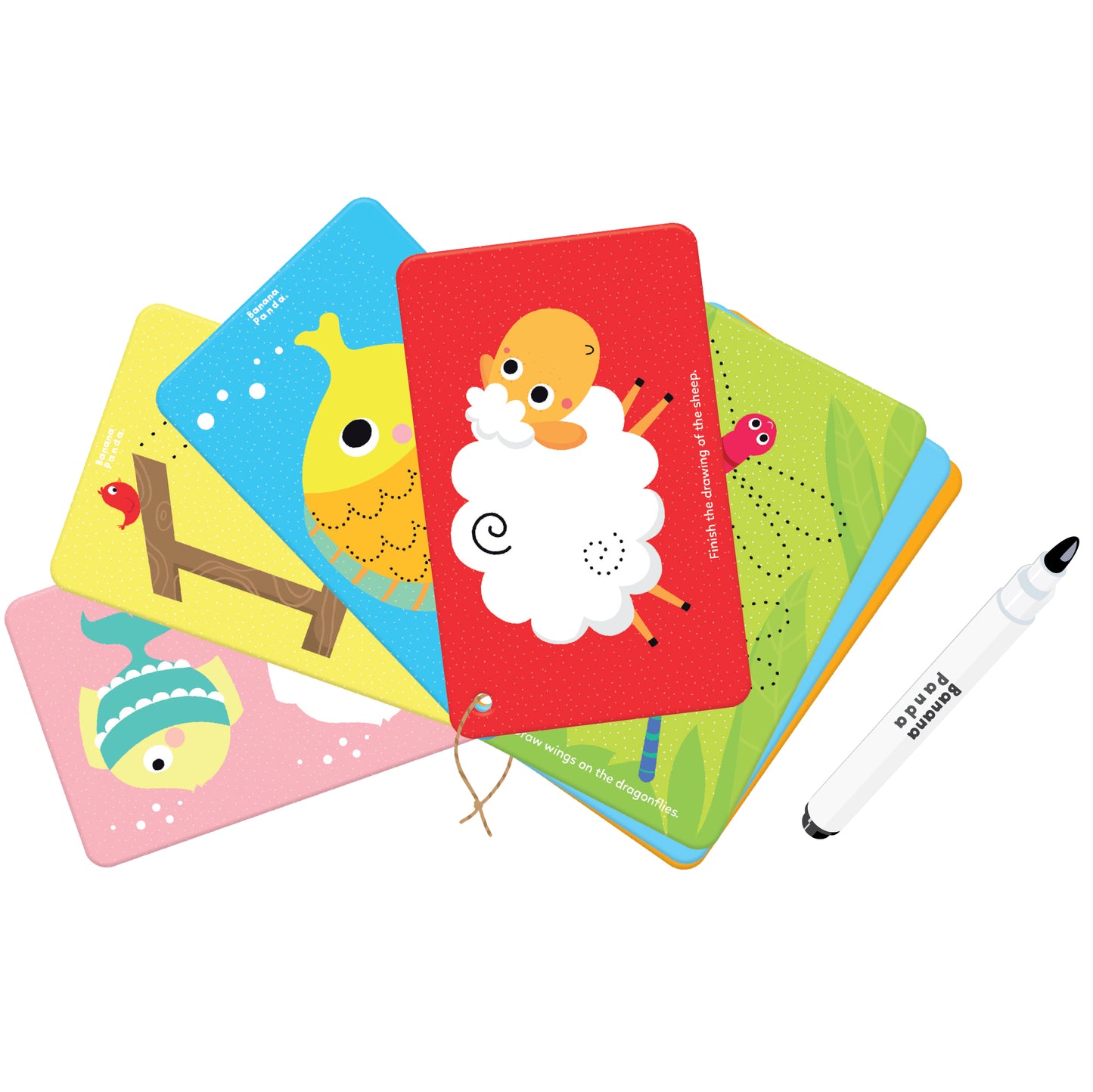 Let's Write and Wipe Animals